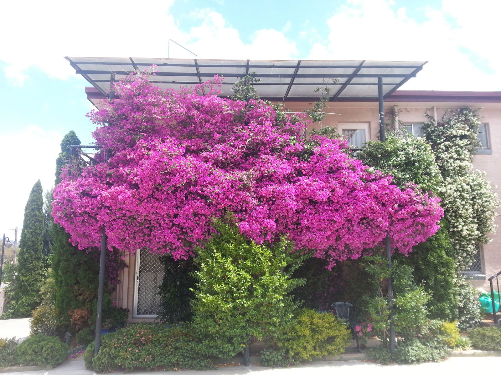 Greenleigh NSW Accommodation 4U