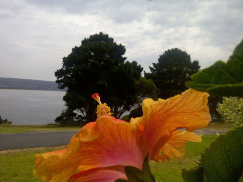 Eden Oceanview - Accommodation 4U 1