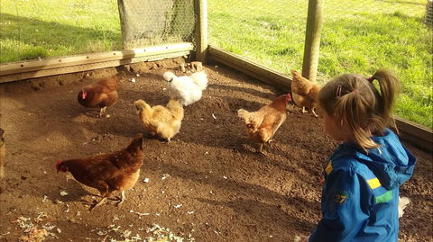 Emerald Park Holiday Farm - Accommodation 4U 2