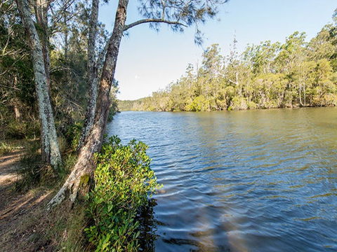 Ferny Creek Campground - Accommodation 4U 0