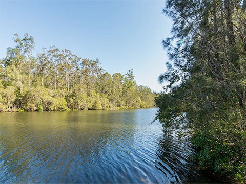 Ferny Creek Campground - Accommodation 4U 1