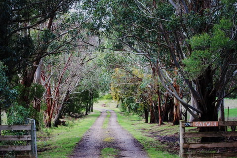 Galwiji Homestead - Accommodation 4U 1