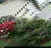 Jenolan Caravan Park - Accommodation 4U