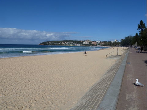 Manly Seaside Cottage - Accommodation 4U 0