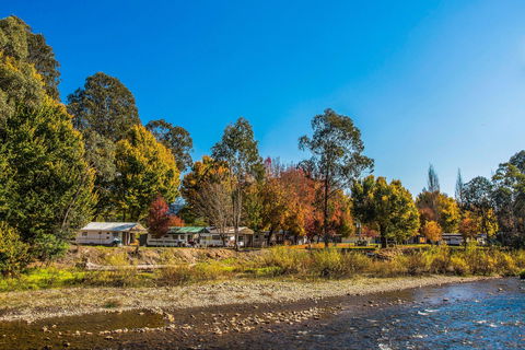 Porepunkah Bridge Holiday Park - Accommodation 4U 1