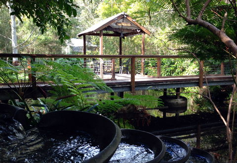 The Oasis And Wellness Centre  At One Mile Beach - Accommodation 4U 0