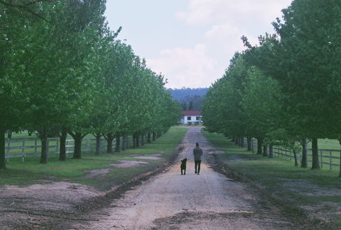 The Oaks Ranch And Country Club - Accommodation 4U 1