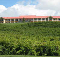 Turners Vineyard Motel - Accommodation 4U