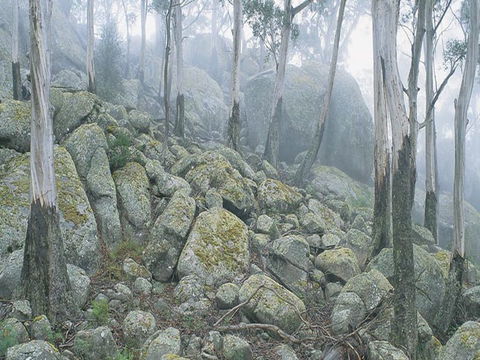 Waratah Gully Campground - Accommodation 4U 0