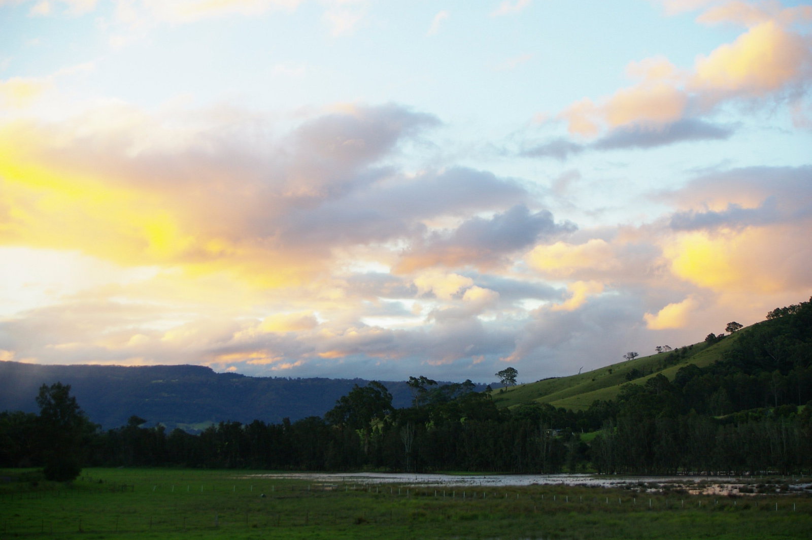 Back Forest NSW Accommodation 4U