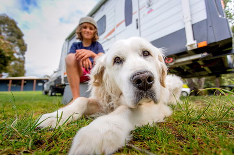 BIG4 St Helens Holiday Park - Accommodation 4U 2