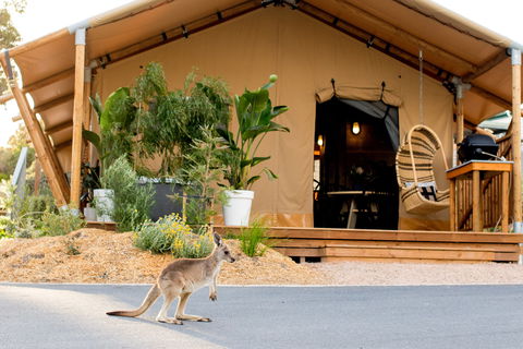 BIG4 Anglesea Holiday Park - Accommodation 4U 2