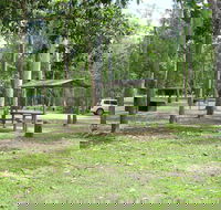 Broadwater camping area Abergowrie State Forest - Accommodation 4U