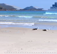 Eagles Rise Tasmania - Accommodation 4U