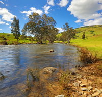 Elm Cottage Tumut - Accommodation 4U