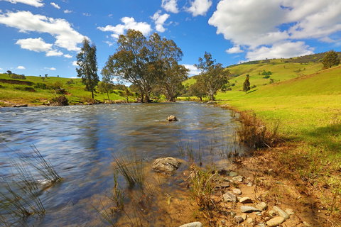 Elm Cottage Tumut - Accommodation 4U 0
