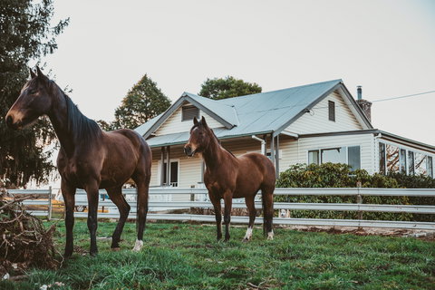 Glenburnie Cottage - Accommodation 4U 0