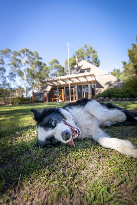 Grampians Getaway - Accommodation 4U 0