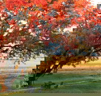 Little Kickabell Country Homestead - Accommodation 4U