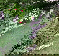 Padthaway Caravan Park - Accommodation 4U