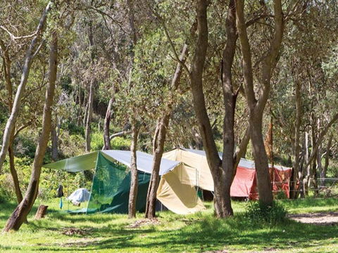 Pebbly Beach Campground - Yuraygir National Park - Accommodation 4U 1