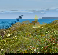 Preston Beach Front Apartment - Accommodation 4U