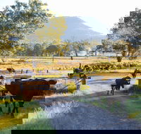 Tommerups Dairy Farmstay - Accommodation 4U