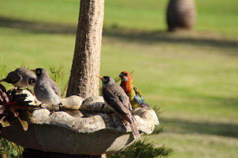 Twin Figs Country Retreat - Accommodation 4U 2