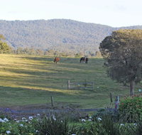 Wallaby Cottage - Accommodation 4U