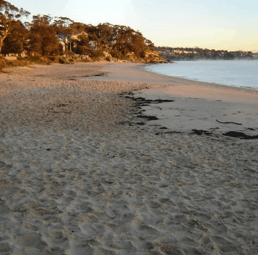Beachhaven Bed & Breakfast - Accommodation 4U 5