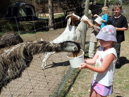 Bairnsdale Holiday Park - Accommodation 4U 2