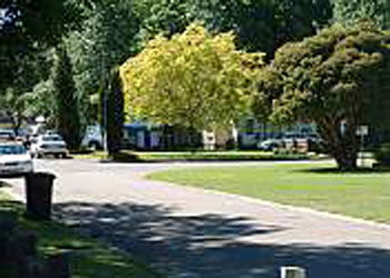 Mitchell Gardens Holiday Park - Accommodation 4U 0