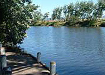 Mitchell Gardens Holiday Park - Accommodation 4U 2
