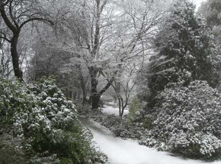 Woolrich Retreat - Accommodation 4U 5