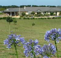 Chestnut Hill Country Retreat - Accommodation 4U