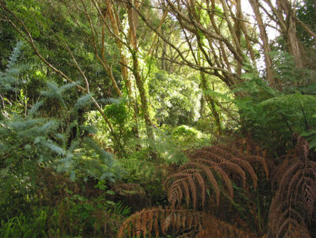 Deja Vu Lakes Entrance B And B - Accommodation 4U 2