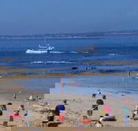 QueenscliffeTourist Park - Accommodation 4U
