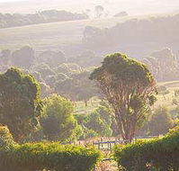 Mackas Farm - Accommodation 4U