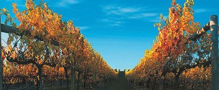 Nagambie Lakes Leisure Park - Accommodation 4U 5