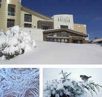 Chalet Hotham - Accommodation 4U