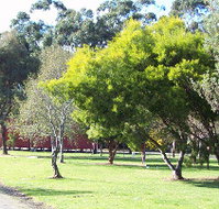 Otways Tourist Park - Accommodation 4U