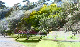 Otways Tourist Park - Accommodation 4U 0