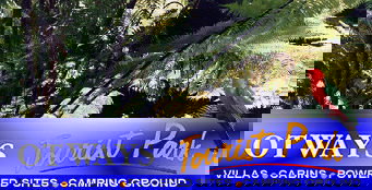 Otways Tourist Park - Accommodation 4U 4