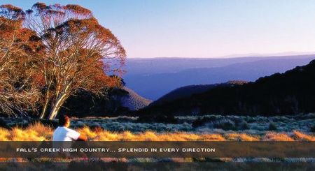 Alpine View Apartments - Accommodation 4U 1