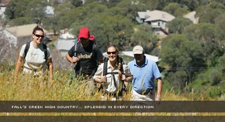 Alpine View Apartments - Accommodation 4U 3