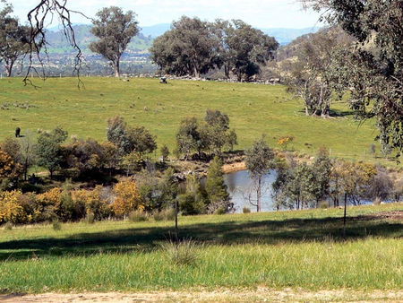 Gaddleen Grove Cottages - Accommodation 4U 3