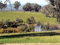 Gaddleen Grove Cottages - Accommodation 4U 5