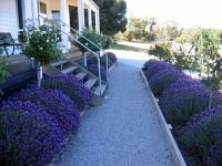 Canadian Lodge - Accommodation 4U 3