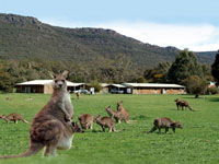 Halls Gap Log Cabins - Accommodation 4U 2
