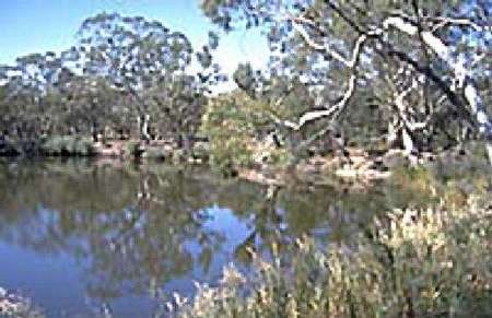 Riverside Host Farm - Accommodation 4U 1